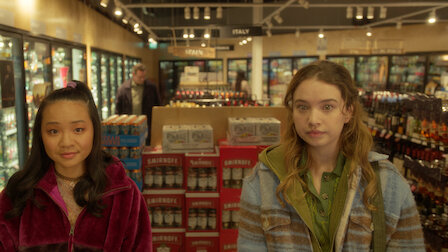 Netflix Register Fake Id